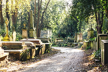 Highgate Cemetery west, London, England, United Kingdom, Europe