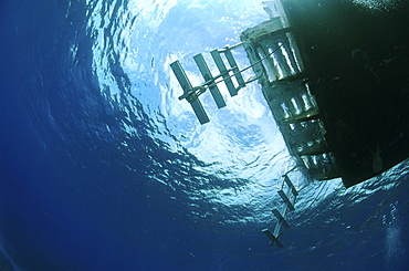 Underwater view of a boat. Compasspoint, Caymans.