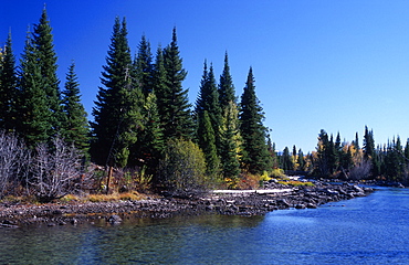 Snake River, Grand Teton National Park, Wyoming, USA