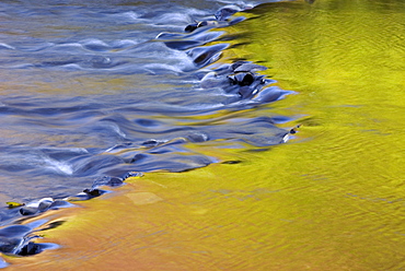 Reflections of autumn s in East Lyn River, Devon , UK