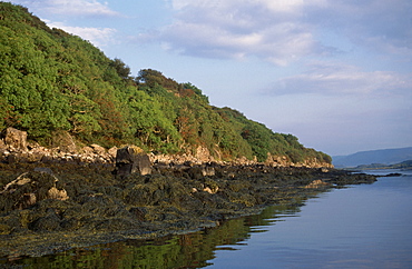 Rocky shore showing littoral zonation, Isle of Mull, Inner Hebrides, Scotland