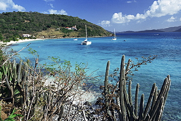 White Bay, Jost van Dyke, British Virgin Islands, West Indies, Caribbean, Central America