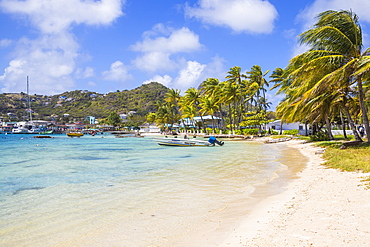 Clifton Harbour, Union Island, The Grenadines, St. Vincent and The Grenadines, West Indies, Caribbean, Central America