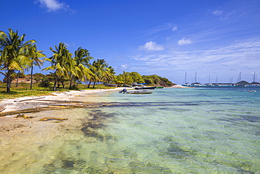 Clifton Harbour, Union Island, The Grenadines, St. Vincent and The Grenadines, West Indies, Caribbean, Central America