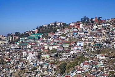 View of city center, Shimla (Simla), Himachal Pradesh, India, Asia