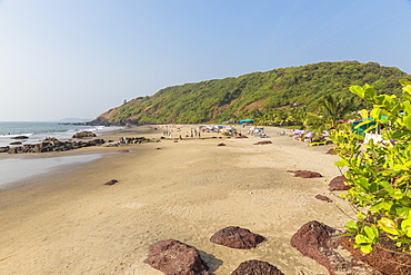 Wagh Colamb beach, Arambol, Goa, India, Asia