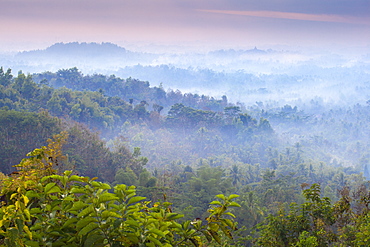 Mist hovering over Borobudur Temple at dawn, Magelang, Java, Indonesia, Southeast Asia, Asia