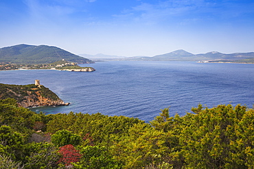 View towards Bollo Tower, Capo Caccia, Porto Conte National Park, Alghero, Sardinia, Italy, Mediterranean, Europe