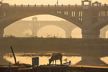 Bridge over Gomti River, Lucknow, Uttar Pradesh, India, Asia