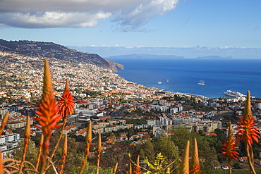 View of city, Funchal, Madeira, Portugal, Atlantic, Europe