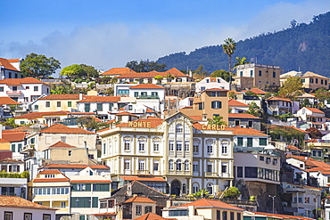 View of city, Funchal, Madeira, Portugal, Atlantic, Europe