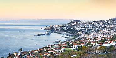 View of Funchal looking towards harbour, Funchal, Madeira, Portugal, Atlantic, Europe