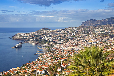 View looking towards Sao Goncalo Church and harbour, Funchal, Madeira, Portugal, Atlantic, Europe