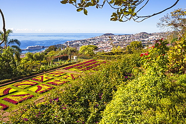 Botanical Gardens, Monte, Funchal, Madeira, Portugal, Atlantic, Europe