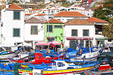 Camara de Lobos, Funchal, Madeira, Portugal, Atlantic, Europe