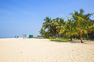 Marari Beach, Alleppey (Alappuzha), Kerala, India, Asia