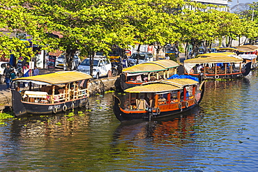 Shikara boats, Backwaters, Alappuzha (Alleppey), Kerala, India, Asia