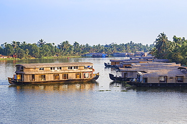 Houseboats on Backwaters, Alappuzha (Alleppey), Kerala, India, Asia