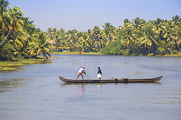 Men in dugout canoe, Backwaters, Kollam, Kerala, India, Asia