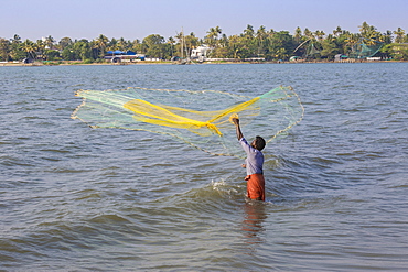 Fishermen throwing fishing net, Fort Kochi, Cochin (Kochi), Kerala, India, Asia