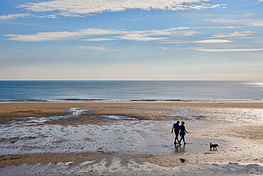 Couple walking dog on North Bay beach, Scarborough, Yorkshire, England, United Kingdom, Europe