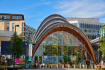 Winter Garden, Sheffield, Yorkshire, England, United Kingdom, Europe