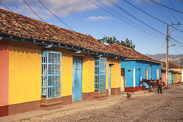 Horse outside colourful houses in historical center, Trinidad, Sancti Spiritus Province, Cuba, West Indies, Caribbean, Central America