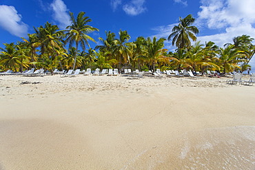 Cayo Levantado, Samana, Eastern Peninsula de Samana, Dominican Republic, West Indies, Caribbean, Central America