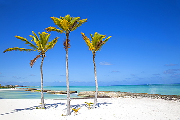 Beach at Also del Mar resort, Punta Cana, Dominican Republic, West Indies, Caribbean, Central America