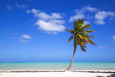 Cap Cana Beach, Punta Cana, Dominican Republic, West Indies, Caribbean, Central America