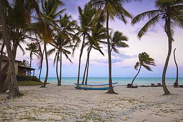 Cap Cana Beach, Punta Cana, Dominican Republic, West Indies, Caribbean, Central America