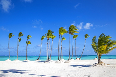 Juanillo Beach, Cap Cana, Punta Cana, Dominican Republic, West Indies, Caribbean, Central America