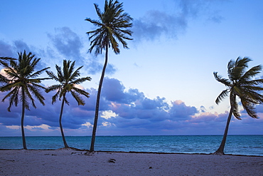 Cap Cana Beach, Punta Cana, Dominican Republic, West Indies, Caribbean, Central America