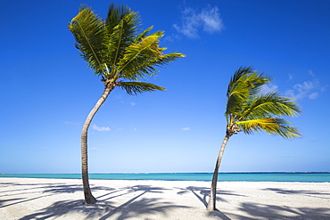 Juanillo Beach, Cap Cana, Punta Cana, Dominican Republic, West Indies, Caribbean, Central America