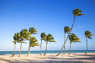 Juanillo Beach, Cap Cana, Punta Cana, Dominican Republic, West Indies, Caribbean, Central America