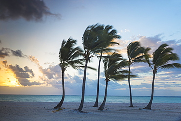 Juanillo Beach, Cap Cana, Punta Cana, Dominican Republic, West Indies, Caribbean, Central America