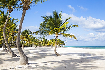 Juanillo Beach, Cap Cana, Punta Cana, Dominican Republic, West Indies, Caribbean, Central America