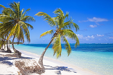 Playa Cabeza de Toro, Punta Cana, Dominican Republic, West Indies, Caribbean, Central America