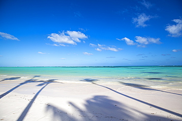 Juanillo Beach, Cap Cana, Punta Cana, Dominican Republic, West Indies, Caribbean, Central America