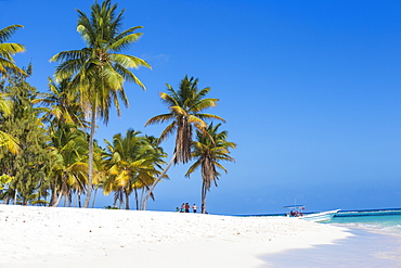 Canto de la Playa, Saona Island, Parque Nacional del Este, Punta Cana, Dominican Republic, West Indies, Caribbean, Central America