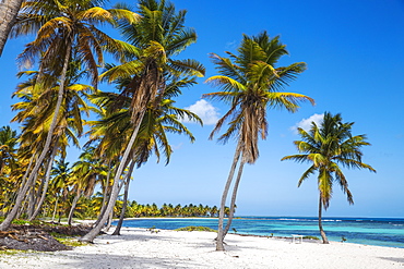 Canto de la Playa, Saona Island, Parque Nacional del Este, Punta Cana, Dominican Republic, West Indies, Caribbean, Central America