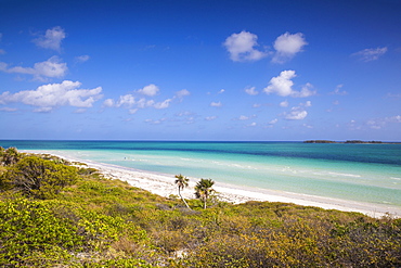 Playa Pilar, Cayo Guillermo, Jardines del Rey, Ciego de Avila Province, Cuba, West Indies, Caribbean, Central America