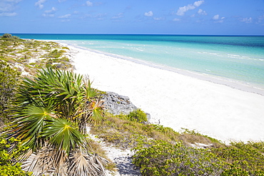 Sand dunes at Playa Pilar, Cayo Guillemo, Jardines del Rey, Ciego de Avila Province, Cuba, West Indies, Caribbean, Central America