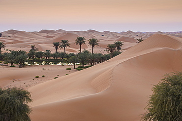 Remah Desert, Al Ain, Abu Dhabi, United Arab Emirates, Middle East