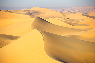 Remah Desert, Al Ain, Abu Dhabi, United Arab Emirates, Middle East