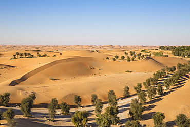 Remah Desert, Al Ain, Abu Dhabi, United Arab Emirates, Middle East