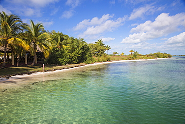 Cayo Largo De Sur, Isla de la Juventud, Cuba, West Indies, Caribbean, Central America