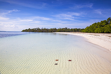 Cayo Levisa, Pinar del Rio Province, Cuba, West Indies, Caribbean, Central America