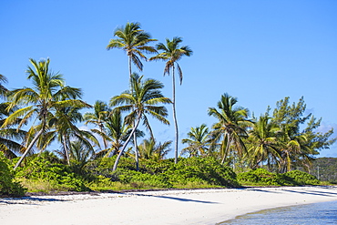 Tihiti beach, Elbow Cay, Abaco Islands, Bahamas, West Indies, Central America