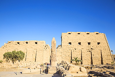 Avenue of Sphinxes, Luxor Temple, UNESCO World Heritage Site, Luxor, Egypt, North Africa, Africa